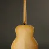 Taylor GT 611e LTD Acoustic Electric Guitar – New