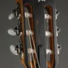 Taylor Guitars 112ce-N Nylon String Acoustic Guitar – New