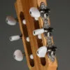 Taylor Guitars 112ce-N Nylon String Acoustic Guitar – New