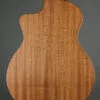 Taylor Guitars 114ce Special Edition – New