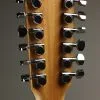 Taylor 150ce Acoustic Electric 12-String Guitar – New