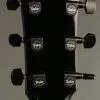 Taylor Guitars 214ce-BLK DLX Grand Auditorium Steel String Acoustic Guitar New