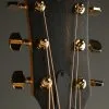 Taylor Guitars 214ce DLX Steel String Acoustic Guitar New
