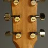 Taylor Guitars 214ce DLX Steel String Acoustic Guitar New