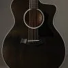 Taylor Guitars 214ce DLX Transparent Grey LTD Acoustic Electric Guitar New