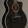 Taylor Guitars 214ce DLX Transparent Grey LTD Acoustic Electric Guitar New