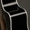 Taylor Guitars 214ce DLX Transparent Grey LTD Acoustic Electric Guitar New