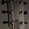 Taylor Guitars 214ce DLX Transparent Grey LTD Acoustic Electric Guitar New