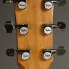 Taylor Guitars 214ce Grand Auditorium Steel String Acoustic Guitar New
