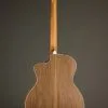 Taylor Guitars 214ce Grand Auditorium Steel String Acoustic Guitar – New