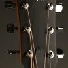Taylor Guitars 214ce Grand Auditorium Steel String Acoustic Guitar – New