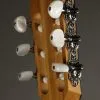 Taylor Guitars 214ce-N Nylon String Acoustic Guitar New