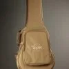 Taylor Guitars 214ce-N Nylon String Acoustic Guitar New