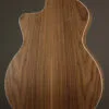 Taylor Guitars 214ce-N Nylon String Acoustic Guitar – New