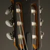 Taylor Guitars 214ce-N Nylon String Acoustic Guitar – New