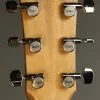 Taylor Guitars 214ce Plus Grand Auditorium Steel String Acoustic Guitar New
