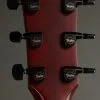 Taylor Guitars 224ce DLX LTD Transparent Red Acoustic Electric Guitar New
