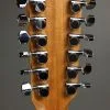 Taylor Guitars 254ce 12-String Acoustic Electric Guitar New