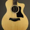 Taylor Guitars 254ce Plus Acoustic Electric 12-String Guitar – New
