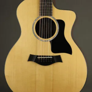 Taylor Guitars 254ce Plus Acoustic Electric 12-String Guitar – New