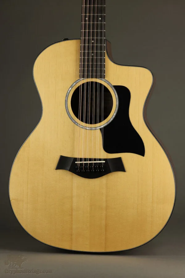 Taylor Guitars 254ce Plus Acoustic Electric 12-String Guitar – New