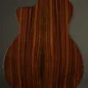 Taylor Guitars 254ce Plus Acoustic Electric 12-String Guitar – New