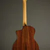 Taylor Guitars 254ce Plus Acoustic Electric 12-String Guitar – New