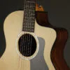 Taylor Guitars 254ce Plus Acoustic Electric 12-String Guitar – New