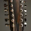 Taylor Guitars 254ce Plus Acoustic Electric 12-String Guitar – New