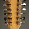 Taylor Guitars 254ce Plus Acoustic Electric 12-String Guitar – New
