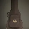 Taylor Guitars 254ce Plus Acoustic Electric 12-String Guitar – New