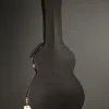 Taylor Guitars 312ce, 12 Fret Acoustic Electric New