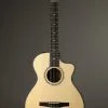 Taylor Guitars 312ce-N Grand Concert Nylon String Guitar New