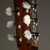 Taylor Guitars 312ce-N Grand Concert Nylon String Guitar New