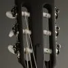 Taylor Guitars 312ce-N Grand Concert Nylon String Guitar New