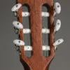 Taylor Guitars 314ce-N Acoustic Electric Nylon String Guitar – New