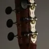 Taylor Guitars 322ce 12-Fret Grand Concert Steel String Acoustic Guitar New