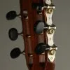 Taylor Guitars 322ce 12-Fret Grand Concert Steel String Acoustic Guitar New