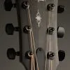 Taylor Guitars 324ce V-Class Bracing Steel String Acoustic Guitar New