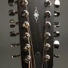 Taylor Guitars 352ce Acoustic Electric 12-String Guitar New