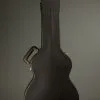 Taylor Guitars 352ce Acoustic Electric 12-String Guitar New