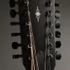 Taylor Guitars 362ce Acoustic Electric 12-String Guitar New