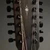 Taylor Guitars 362ce Acoustic Electric 12-String Guitar New