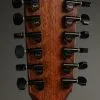 Taylor Guitars 362ce Acoustic Electric 12-String Guitar New