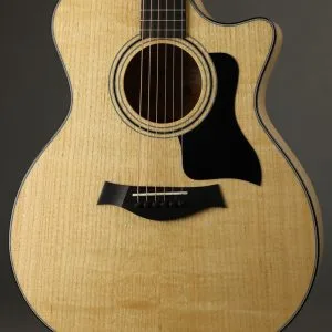 Taylor Guitars 424ce LTD Urban Ash Acoustic Guitar New