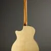 Taylor Guitars 424ce LTD Urban Ash Acoustic Guitar New