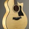 Taylor Guitars 424ce LTD Urban Ash Acoustic Guitar New