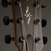 Taylor Guitars 424ce LTD Urban Ash Acoustic Guitar New