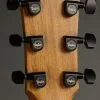 Taylor Guitars 424ce LTD Urban Ash Acoustic Guitar New