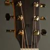 Taylor Guitars 50th Anniversary GS Mini-e Rosewood SB LTD Acoustic Electric Guitar – New